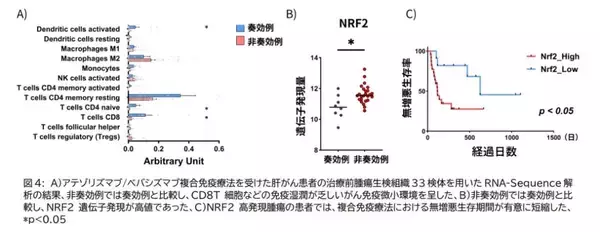 「【大阪大学】肝がん免疫療法抵抗性の新たな分子機序を解明 ～NRF2-COX2経路が新たな治療標的かつ効果予測マーカーに～」の画像
