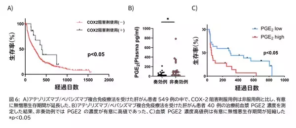 「【大阪大学】肝がん免疫療法抵抗性の新たな分子機序を解明 ～NRF2-COX2経路が新たな治療標的かつ効果予測マーカーに～」の画像
