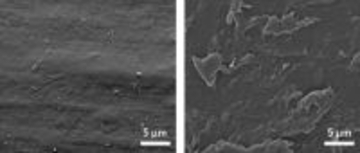 プラスチック添加剤P-Lifeを添加したプラスチックの海洋性分解菌を複数発見