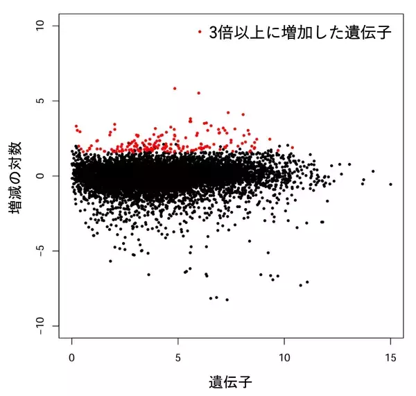 生分解性を付与するプラスチック添加剤P-Lifeに適した 分解菌のゲノム解析と遺伝子発現解析を実施！ 微生物によるプラスチック分解の効率化へ、大きな一歩