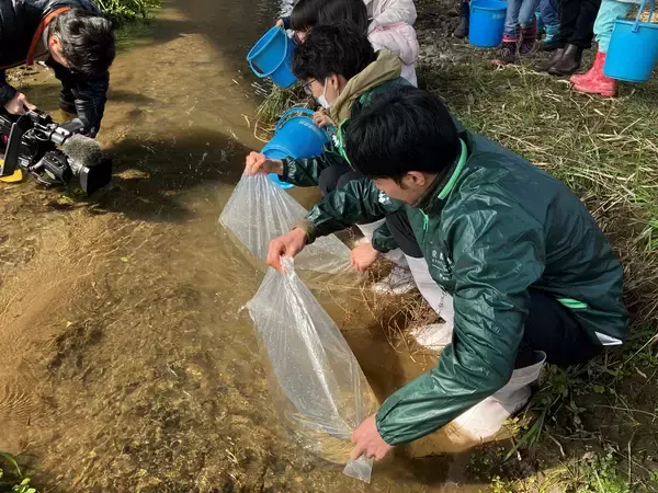 「【京都水族館】「育て！いくらちゃん2026」を開催」の画像