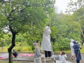 5月26日 相模女子大学オリジナル梅酒『翠想（すいそう）』梅の実の収穫実施　12年目の梅酒づくり始動 今年度は相模大野キャンパス開学80周年記念ラベルを制作予定