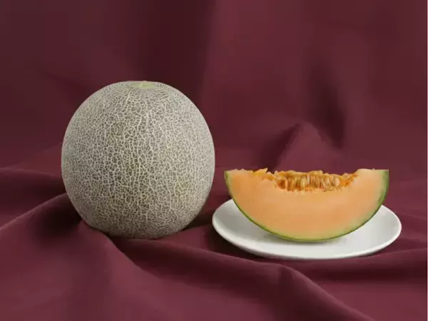 「GWは那須千本松牧場で"旬と体験"を一度に、試食もできる栃木の旬メロンの販売や生産者マルシェ、猿まわしなど栃木の旬・人・文化を体感するGWイベント」の画像