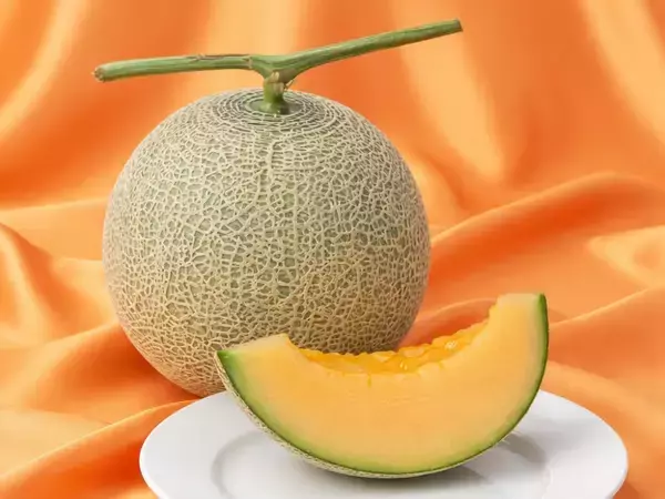 「GWは那須千本松牧場で"旬と体験"を一度に、試食もできる栃木の旬メロンの販売や生産者マルシェ、猿まわしなど栃木の旬・人・文化を体感するGWイベント」の画像