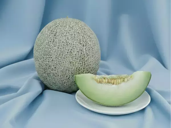 「GWは那須千本松牧場で"旬と体験"を一度に、試食もできる栃木の旬メロンの販売や生産者マルシェ、猿まわしなど栃木の旬・人・文化を体感するGWイベント」の画像