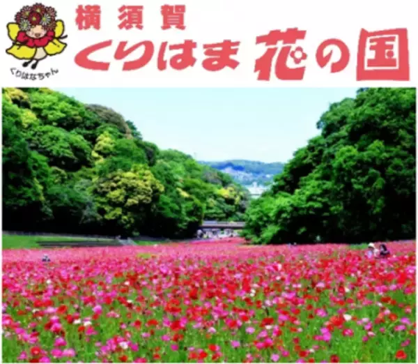 「【現役運転士企画】京急線に乗ってくりはま花の国のポピーを楽しもう！キャンペーン」を実施します！」の画像