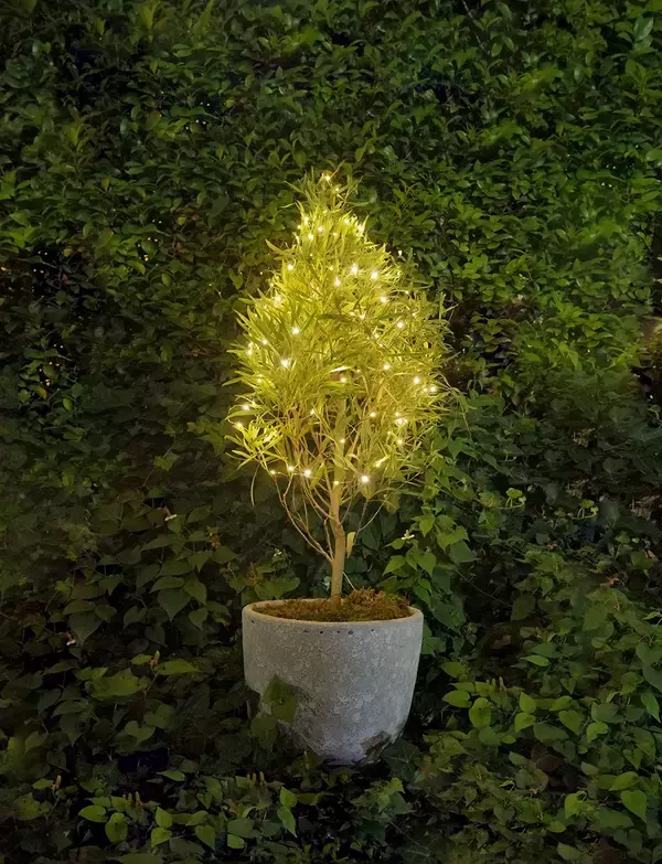 「エリアを起点としたオープンイノベーション「ROOOT」の一環として採択したスタートアップ企業３社との共創を橋本エリアにて開始します！～「植物発電」「宇宙体験」「創作」で、橋本駅周辺のまちづくりを推進～」の画像