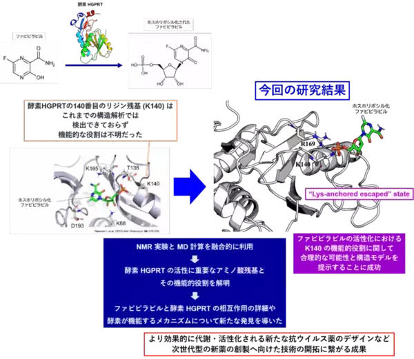 抗ウイルス薬ファビピラビルの活性化の鍵となる酵素反応を可視化 ―高い薬効を発揮できる新薬の創製へ向けた新たな手法開拓―（北里大学）