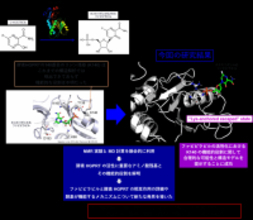 抗ウイルス薬ファビピラビルの活性化の鍵となる酵素反応を可視化 ―高い薬効を発揮できる新薬の創製へ向けた新たな手法開拓―（北里大学）