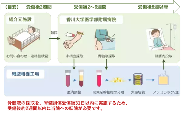 「【香川大学】再生医療で希望の光を！―中四国初！香川大学医学部附属病院で急性期脊髄損傷における再生医療による治療を開始―」の画像