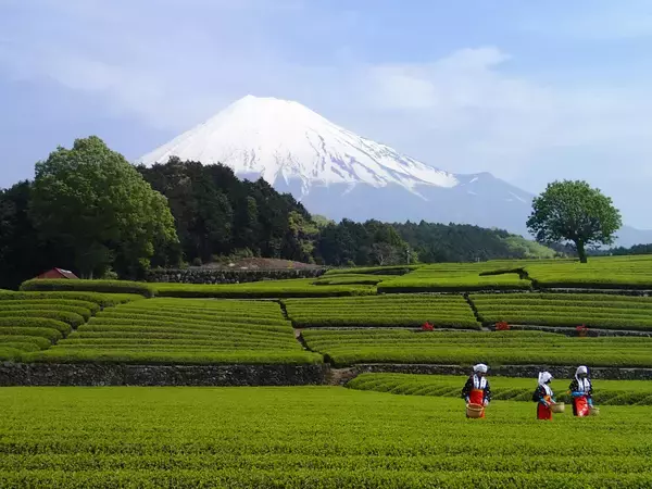 「JR新富士駅、土産物店が一新！「PLUSTA新富士」がオープン」の画像