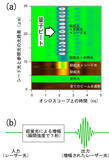 「【青山学院大学】量子の同期現象を利用して光強度を7桁増強することに成功 ～量子光アンプの開発に期待～」の画像3