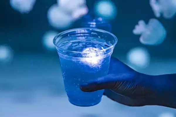 「【京都水族館】ゴールデンウィークは夜8時まで営業時間を延長「夜のすいぞくかん」4月26日（土）スタート」の画像