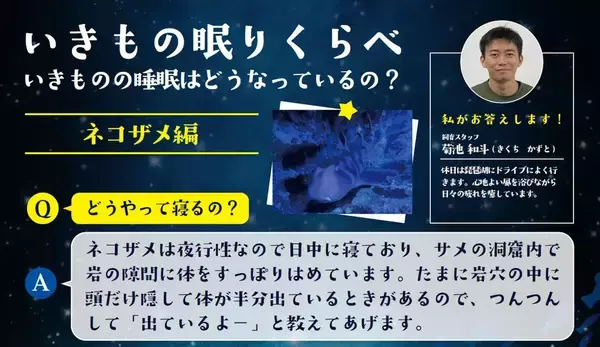 「【京都水族館】ゴールデンウィークは夜8時まで営業時間を延長「夜のすいぞくかん」4月26日（土）スタート」の画像