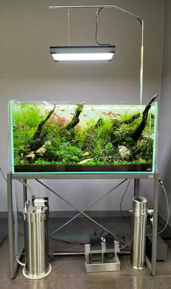 「【すみだ水族館】世界に誇るネイチャーアクアリウムの原点を見つめる「自然水景 めぐる、いのち展」開催」の画像