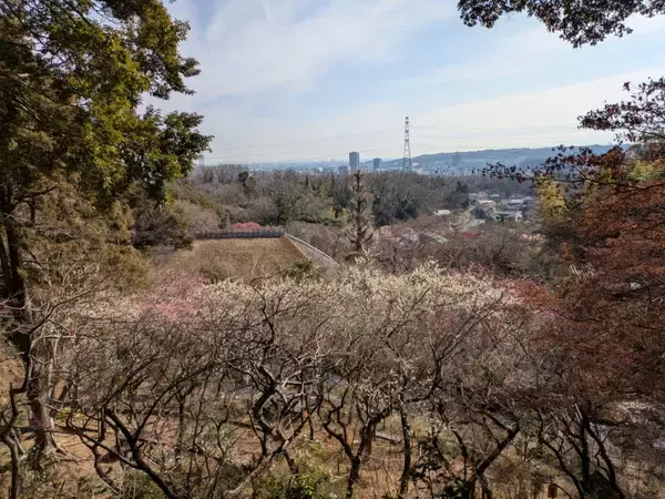 「京王百草園にて日本文化を味わう水墨画・水彩画体験プランの参加者を４月２２日から順次募集します！」の画像