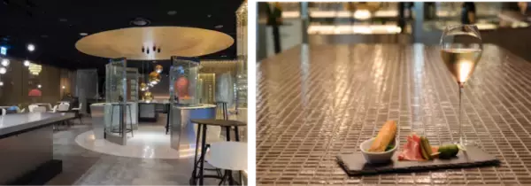 「立教大学×日の丸自動車興業・スカイホップバス　産学共創　涼夜景！インバウンド向けバスツアーTOKYOサマーナイトブリーズ」の画像