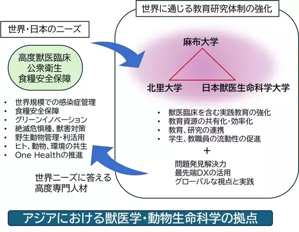 麻布大学、北里大学、日本獣医生命科学大学が獣医学・動物生命科学に係る教育研究の包括連携協定を締結