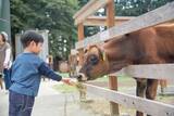 「那須千本松牧場 栃木県出身アーティストが牧場で歌う初の野外音楽ライブ、家族で楽しむ春の体験イベント」の画像11