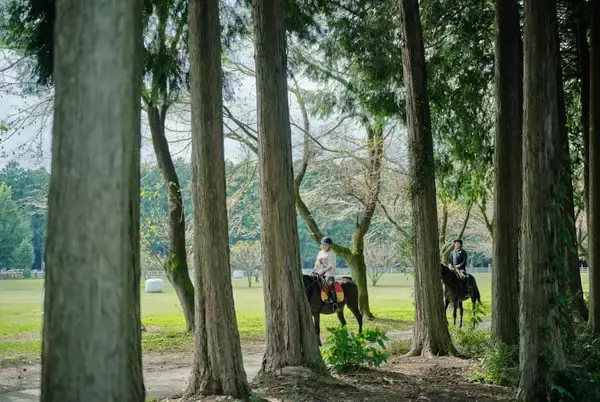 「那須千本松牧場 栃木県出身アーティストが牧場で歌う初の野外音楽ライブ、家族で楽しむ春の体験イベント」の画像