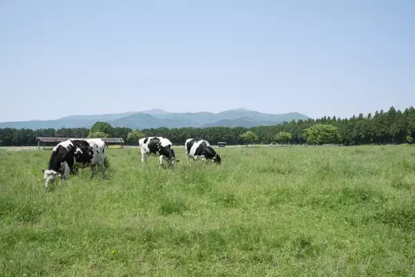 「那須千本松牧場 栃木県出身アーティストが牧場で歌う初の野外音楽ライブ、家族で楽しむ春の体験イベント」の画像