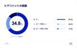 「生成AI利用者の35%がヒヤリハットを経験、“AI過信”によるコピペと機密情報入力が主因に」の画像6