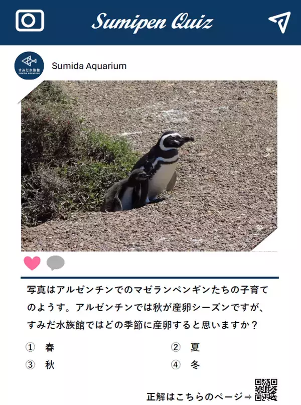 「【すみだ水族館】4月25日は世界ペンギンの日!「The Penguin Passion Party!」を開催」の画像