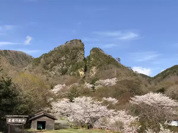 佐渡島の金山「SDGｓ×世界遺産」地域づくり会議を2月8日に前橋市で開催