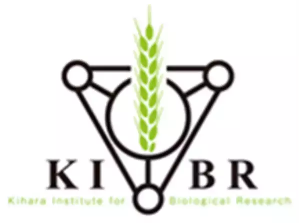 「【横浜市立大学】植物の精細胞における目的遺伝子の自由な発現に成功」の画像