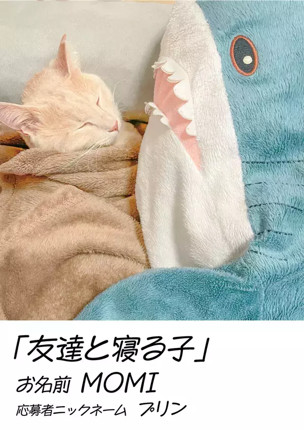 「【玉川高島屋S.C.】ゴールデンウィークイベント情報　GWは親子で楽しむ参加型のイベントを多数開催！」の画像