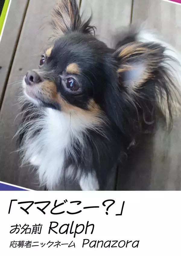 「【玉川高島屋S.C.】ゴールデンウィークイベント情報　GWは親子で楽しむ参加型のイベントを多数開催！」の画像