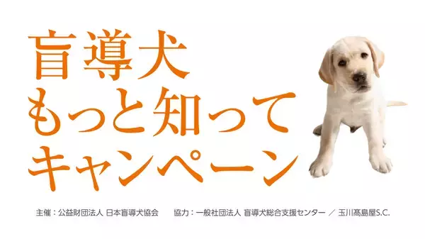 「【玉川高島屋S.C.】ゴールデンウィークイベント情報　GWは親子で楽しむ参加型のイベントを多数開催！」の画像