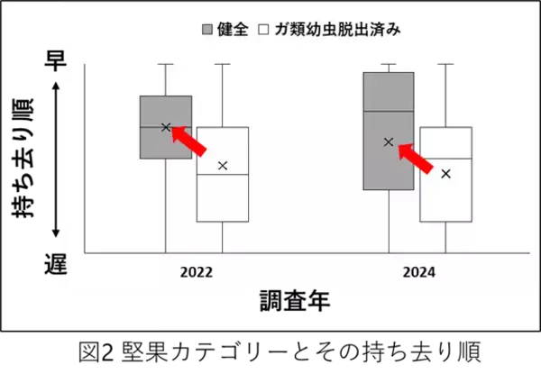 「【名古屋大学】野ネズミはクリの虫食いの有無を、素早く嗅ぎ分ける～ガの幼虫が食べた堅果を避けることを野外で実証～」の画像