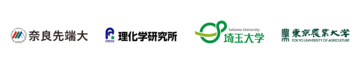 【東京農業大学（共同研究）】高湿度下での葉内の水集積をめぐる植物と病原細菌の攻防を解明