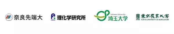 【東京農業大学（共同研究）】高湿度下での葉内の水集積をめぐる植物と病原細菌の攻防を解明