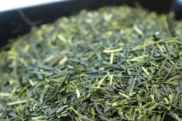 「ネスレ日本と伊藤園、持続可能な物流連携に向けて、静岡～千葉間の共同輸送と静岡～関西間のラウンド輸送を2026年4月より開始」の画像