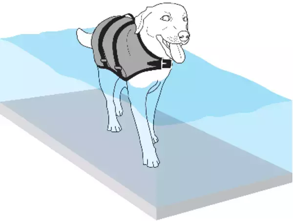 「水素入浴で水素ガスは皮膚から体内へ吸収される--北里大学」の画像