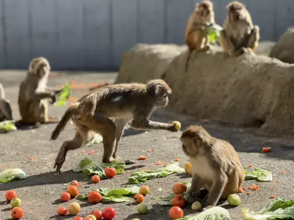 「東武動物公園×イオン埼玉久喜農場 ＳＤＧｓ体験ツアー開催」の画像