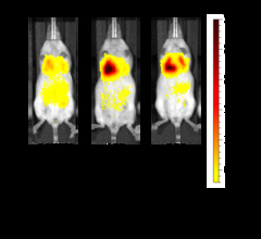 【名城大学】肺に効率的に届けて長く留まる機能性吸入粉末薬を設計