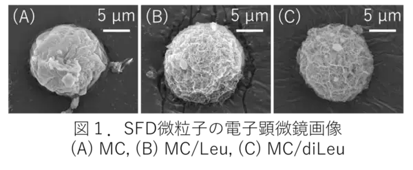 「【名城大学】肺に効率的に届けて長く留まる機能性吸入粉末薬を設計」の画像