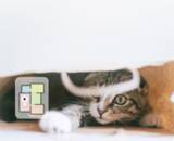 「Roborock、2万5,000Paのパワフルな吸引力と強力な水拭きを兼ね備えた美しいデザインの超薄型モデル「Roborock Qrevo Curv 2 Pro」を発売」の画像7