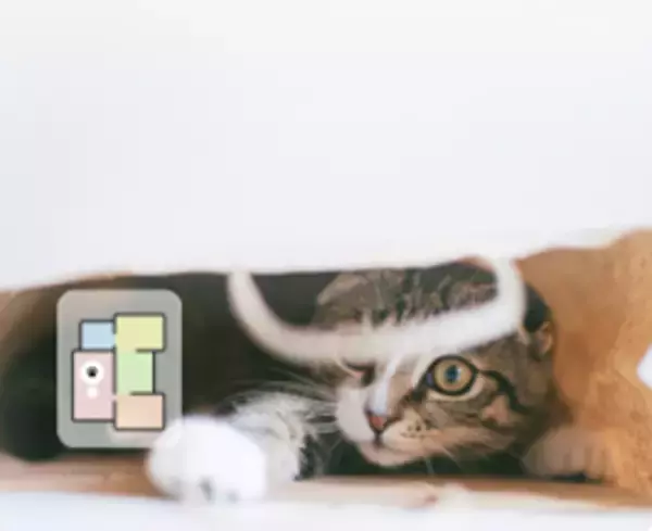 「Roborock、2万5,000Paのパワフルな吸引力と強力な水拭きを兼ね備えた美しいデザインの超薄型モデル「Roborock Qrevo Curv 2 Pro」を発売」の画像