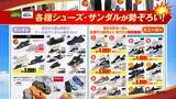 「「スポーツデポ」「アルペン」「アルペンアウトドアーズ」「ゴルフ５」総力を挙げて贈る決算大総力祭を開催！夏の準備はアルペングループで！」の画像9