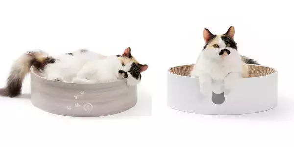 「愛猫に衛生的で快適な空間を。バリバリボウルとの組み合わせで“モフモフくつろげるベッド”に変身！4wayベッド「モフリング」5月20日新発売」の画像
