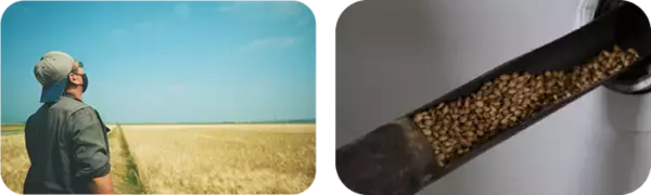 「希少な国産素材にこだわり、成長が続く茶系飲料市場でも目を見張る好調ぶり！～ポッカサッポロ TOCHIとCRAFT「北海道コーン茶／伊達麦茶」～」の画像