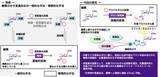 「【日本大学】糖質に特定機能を簡便に付与する新技術を開発～入手容易なボロン酸を触媒に利用　次世代医薬品創製に道～」の画像2