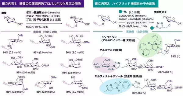 「【日本大学】糖質に特定機能を簡便に付与する新技術を開発～入手容易なボロン酸を触媒に利用　次世代医薬品創製に道～」の画像
