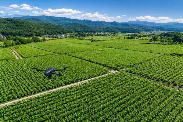 「【軽井沢マリオットホテル】発酵と持続可能性をテーマに、“自らも醸される” ウェルネスステイ宿泊プラン「Fermentation Journey」を発売」の画像