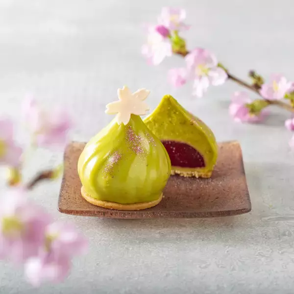 「【東京ミッドタウン】ザ・リッツ・カールトン東京考案のメニューが登場！期間限定の屋外ラウンジ「ROKU〈六〉 MIDTOWN BLOSSOM LOUNGE」」の画像