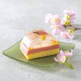 「【東京ミッドタウン】ザ・リッツ・カールトン東京考案のメニューが登場！期間限定の屋外ラウンジ「ROKU〈六〉 MIDTOWN BLOSSOM LOUNGE」」の画像9